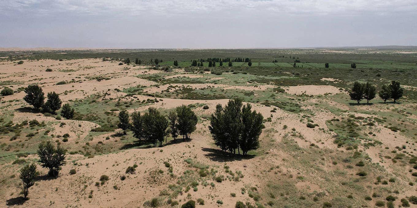 The Global Land Agenda’s Moment of Truth